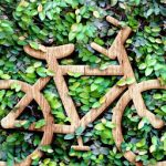 <strong>Vélos électriques reconditionnés : le moment est venu de se laisser tenter</strong>